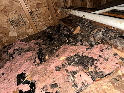 South Jersey Attic Insulation